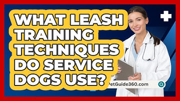 What Leash Training Techniques Do Service Dogs Use? - PetGuide360.com