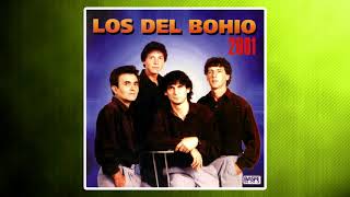 Video thumbnail of "Los Del Bohio - Cuando Te Olvides"