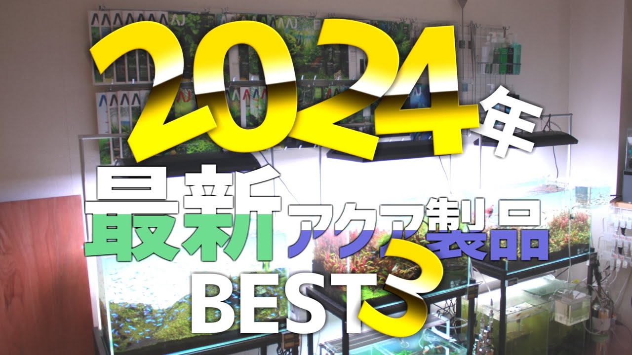 2024年に発売された最新製品の中でBEST3を発表します。#624