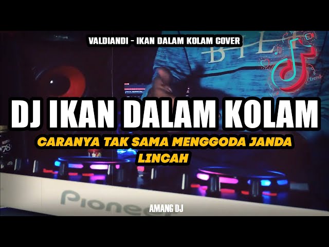 DJ IKAN DALAM KOLAM - DJ JANGAN - JANGAN DULU JANGANLAH DI GANGGU VIRAL TIKTOK [AMANG DJ] class=