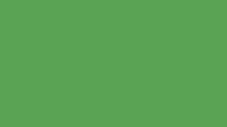 Full MediumSeaGreen - #59A252 rgb(89, 162, 82) | HTML/CSS Colors News