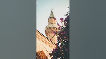 🤍سورة القيامة، موعظة تهز القلب وتوقظه."