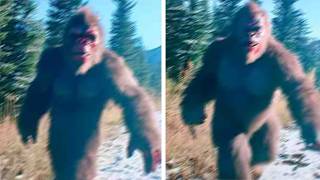 Hiker's Final Photo | BIGFOOT SIGHTINGS