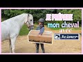 ROUTINE - Je prépare mon cheval avec Kramer equitation 📦🐴