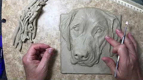 Sculpting a Labrador Bruno in clay | Sondra Alexan...