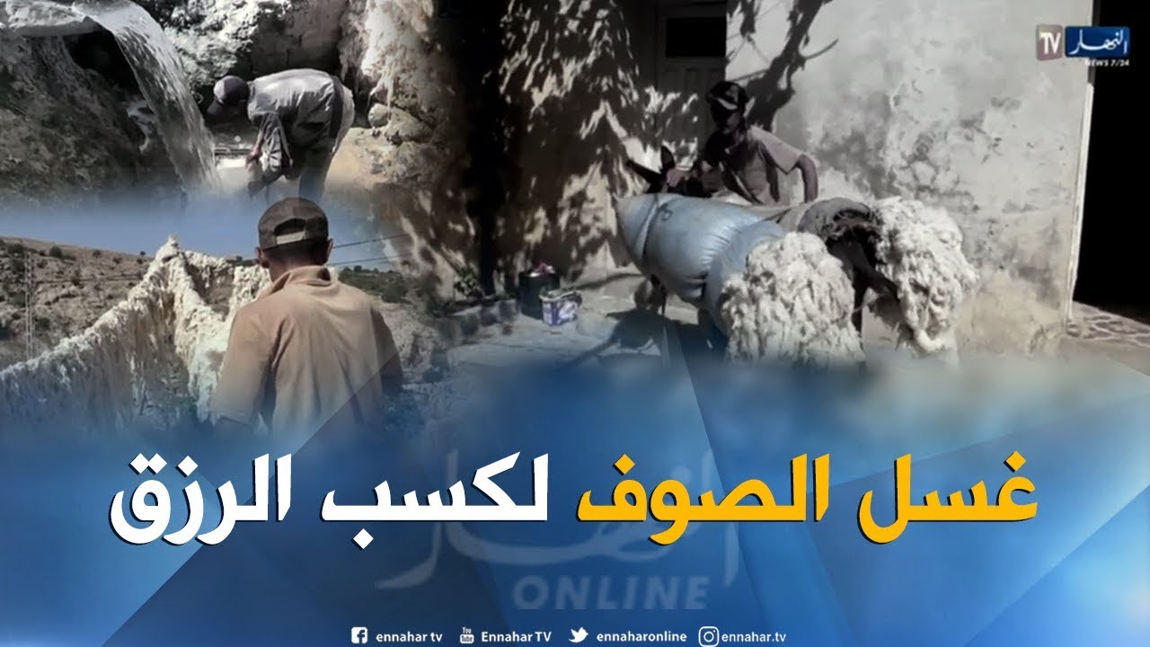 غليزان: مهنة غسل الصوف.. مصدر رزق شباب قلعة بني راشد