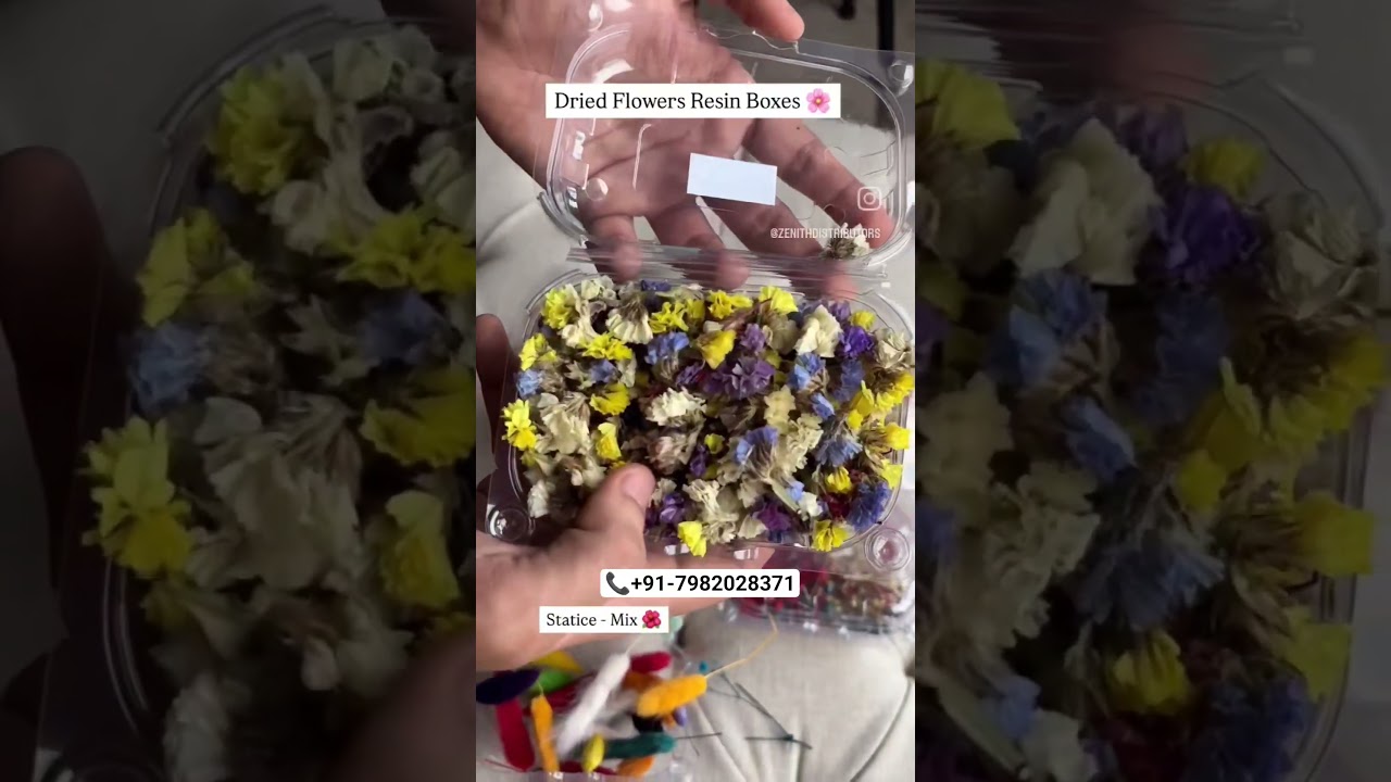 No.1 Trusted Dried Flower Supplier