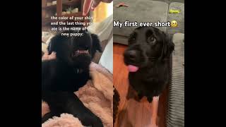 He’s my sweet baby