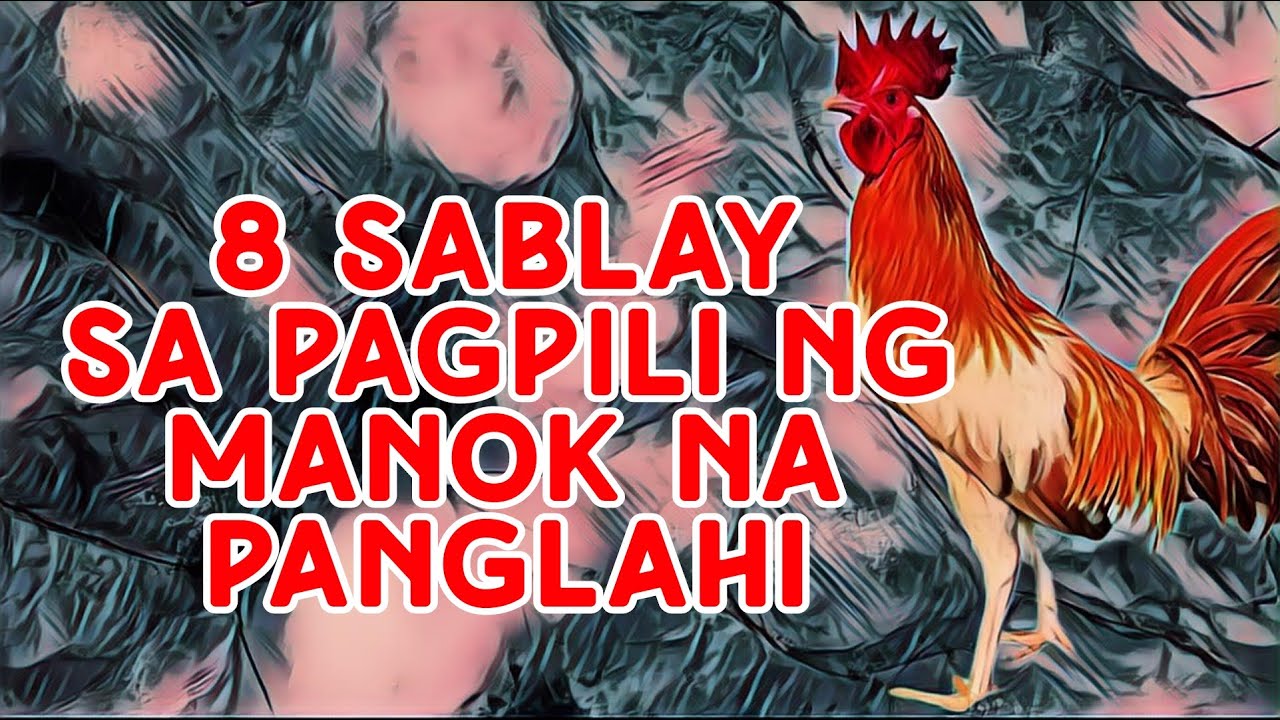 8 DESISYON NA PAGSISISIHAN MO || SABONGISTA TV