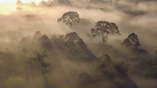 Good Morning | Sun Rays Cinematic Video