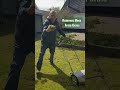 Garden Job #garden #grass #moss #happy #spring #springtime #nice #job #subscribe #shorts