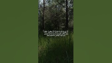 قران كريم أجر لي ولك اكتب شي تؤجر عليه #المصحف #اكسبلور #قرآن