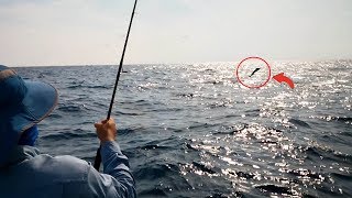 How to Fight a Fish - Fishing Tutorials Ep. 9