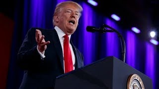 Donald Trump says a teacher 'would have shot the hell out of' Florida school gunman | ITV News