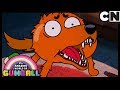 Gumball Türkçe | Başımdaki Dert | Çizgi film | Cartoon Network Türkiye
