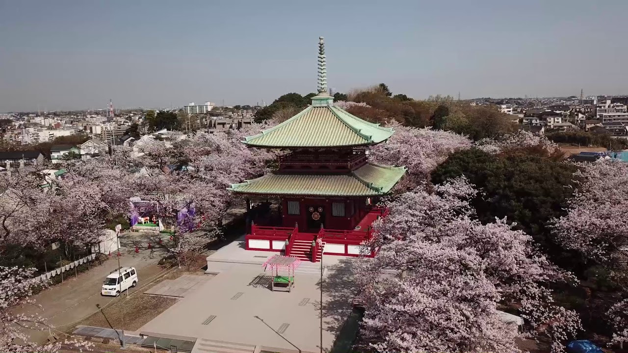 お釈迦さまのご生誕祝う花まつり – 孝道山