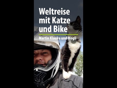 Mit Katze auf dem Motorrad reisen - Motomogli in Freudenstadt