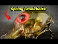 The exact crankbaits i use during the spring