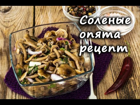 Соленые опята на зиму рецепт как приготовить к подаче