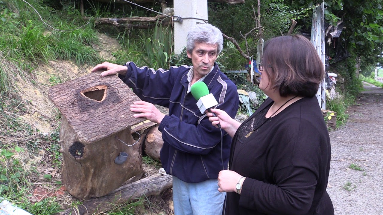 Entrevista al apicultor Simón Rodríguez que mantiene la tradición de los  truébanos