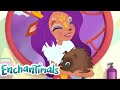 Enchantimals Latino 💜 Historias de Everwilde: Danessa querida 🦌💜Dibujos animados para niñas