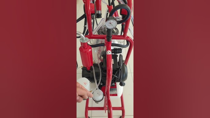 Орыс үш лесбиянка порно Азиялық порно қызық