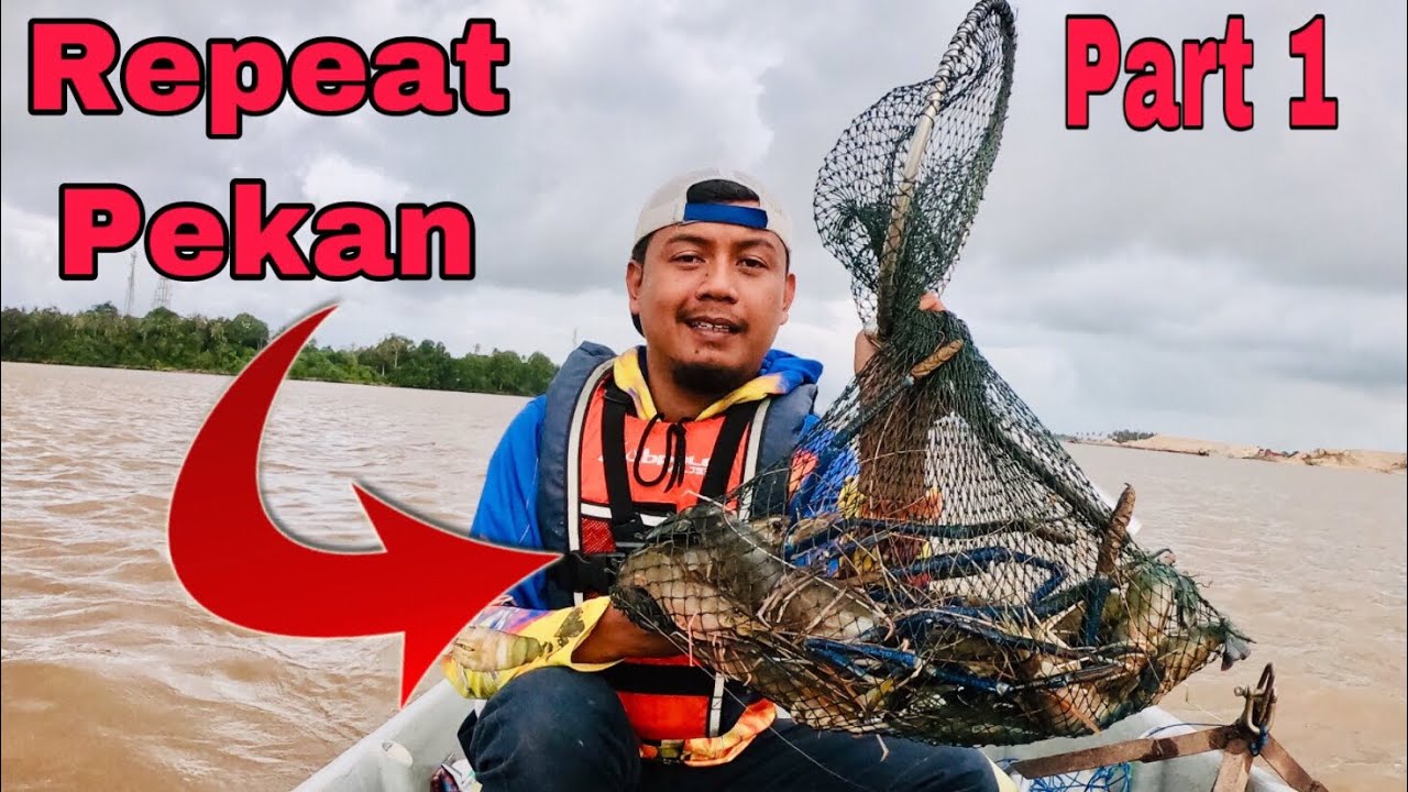 Mancing udang galah mega pekan pahang | part 1 | komplot kasi repeat | ( giant prawn fishing )