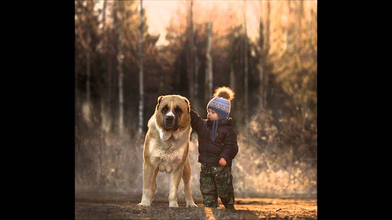 Gabrielle Johnny Hallyday Youtube