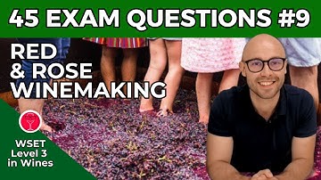 Red & Rose Winemaking: 45 Exam Questions WSET L3 in Wines I Video #9