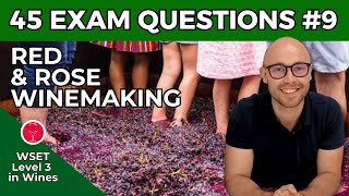 Red & Rose Winemaking: 45 Exam Questions WSET L3 in Wines I Video #9