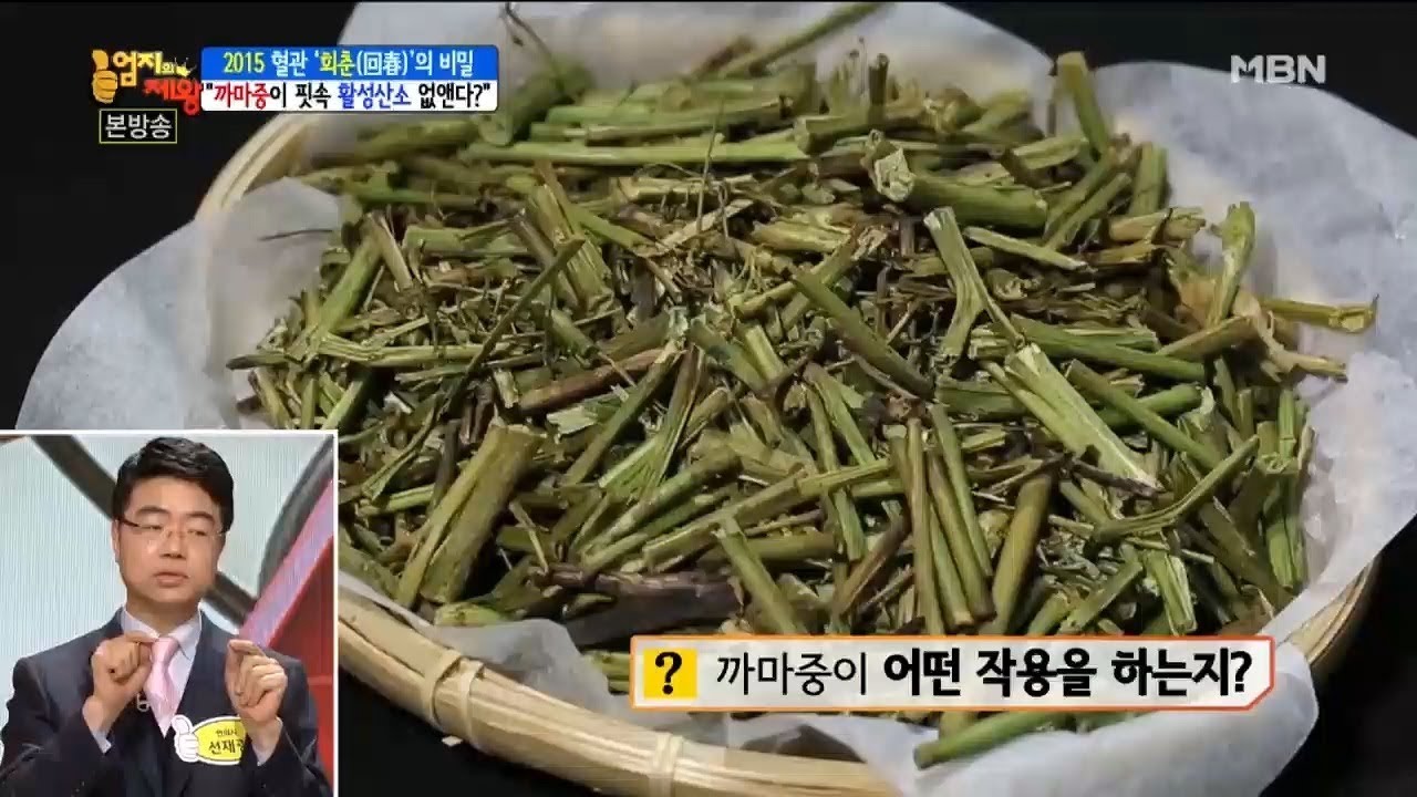 '까마중'이 핏속 활성산소 없앤다? [엄지의 제왕 114회]