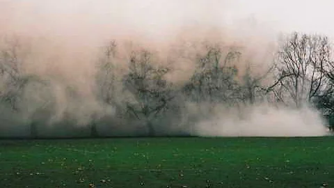 catherine haines. collective memory, collected mem...