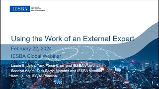 Using the Work of an External Expert Webinar