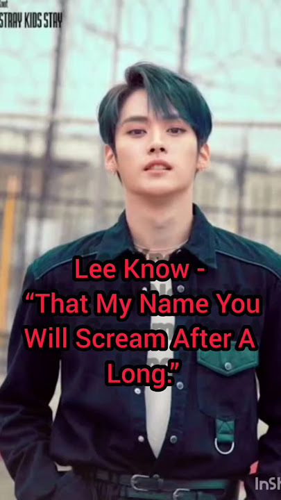 [SKZ FF] Lee Know: When He Said The Related Thing To You. (IMAGINE) @Kim_Chumi