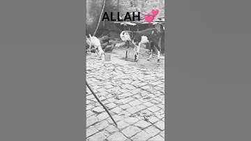 Quraan ALLAH ka Qalaam ♥️#shortvideo #youtube #love #youtubeshorts #beautiful #live