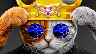 É oficial... O REI DO ROCKET LEAGUE VOLTOU