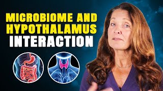 The Shocking Truth | Your Hypothalamus Controls Your Gut Microbiome, Not the Other Way Around
