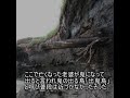 心霊スポットファイル94 出来島海岸