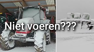 Vanwege de SNEEUW een dag NIET VOEREN??? | Boer Gerrit vlogt 