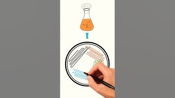 Streak plate technique | Shorts | Microbiology