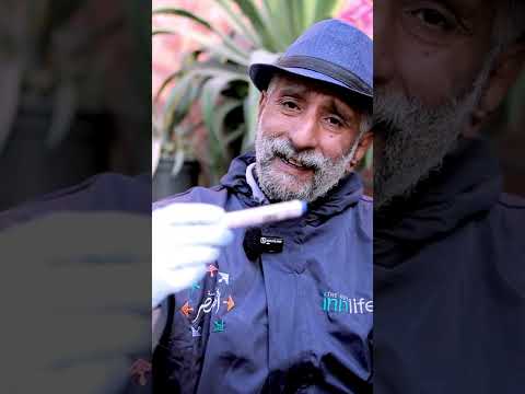 التحدي الأكبر بين أفضل أنواع التربة  