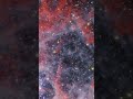 NGC 604 #jwst #sapce