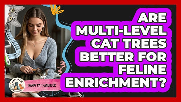 Are Multi-level Cat Trees Better For Feline Enrichment? - Happy Cat Handbook