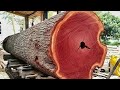 The Biggest and Best Mahogany Monster in the sawmill-the process of splitting giant wood