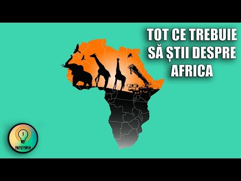 Video: Voluntariat în Africa: Tot Ce Trebuie Să știți