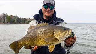 Casting Storm Arashi Vibes for Pre-Spawn Smallmouth Bass IDO TV S15 E24