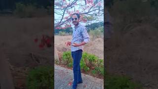 Kuhu Kini Kuhuka Pori#viral #odia #trending #youtube #short