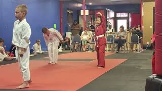 Donovans 1St Karate Testing Form & Stages