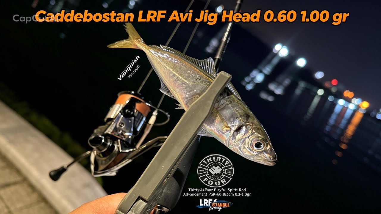 LRF ÇİNEKOP İSTAVRİT AVI – SEZON BAŞLADI #fishing #lrf #fish #balikavi #bassfishing #istavritavi