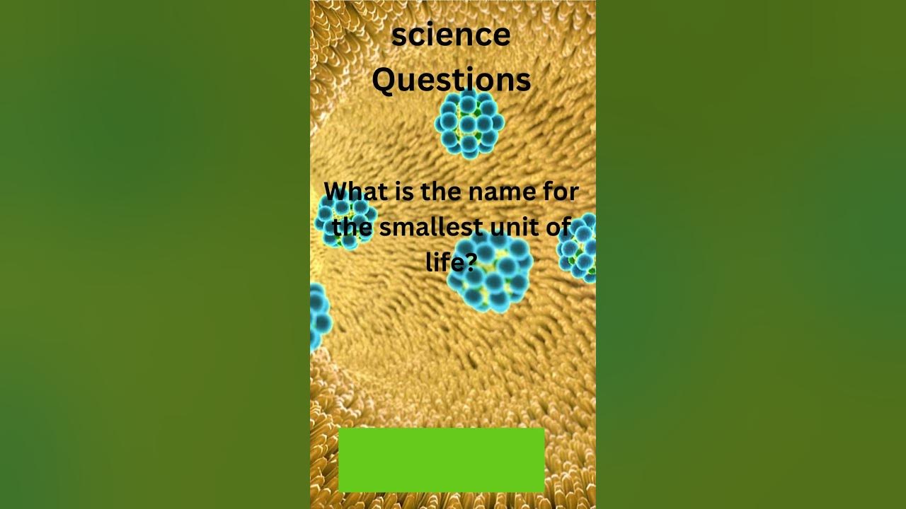 Science Questions What is the process by which solid turns into liquid